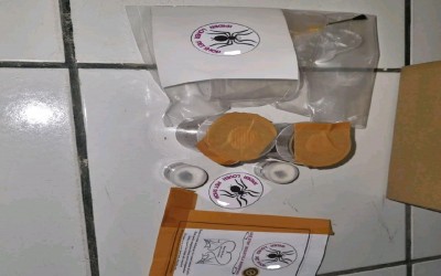 STARTER KIT/ PERLENGKAPAN UNTUK TARANTULA